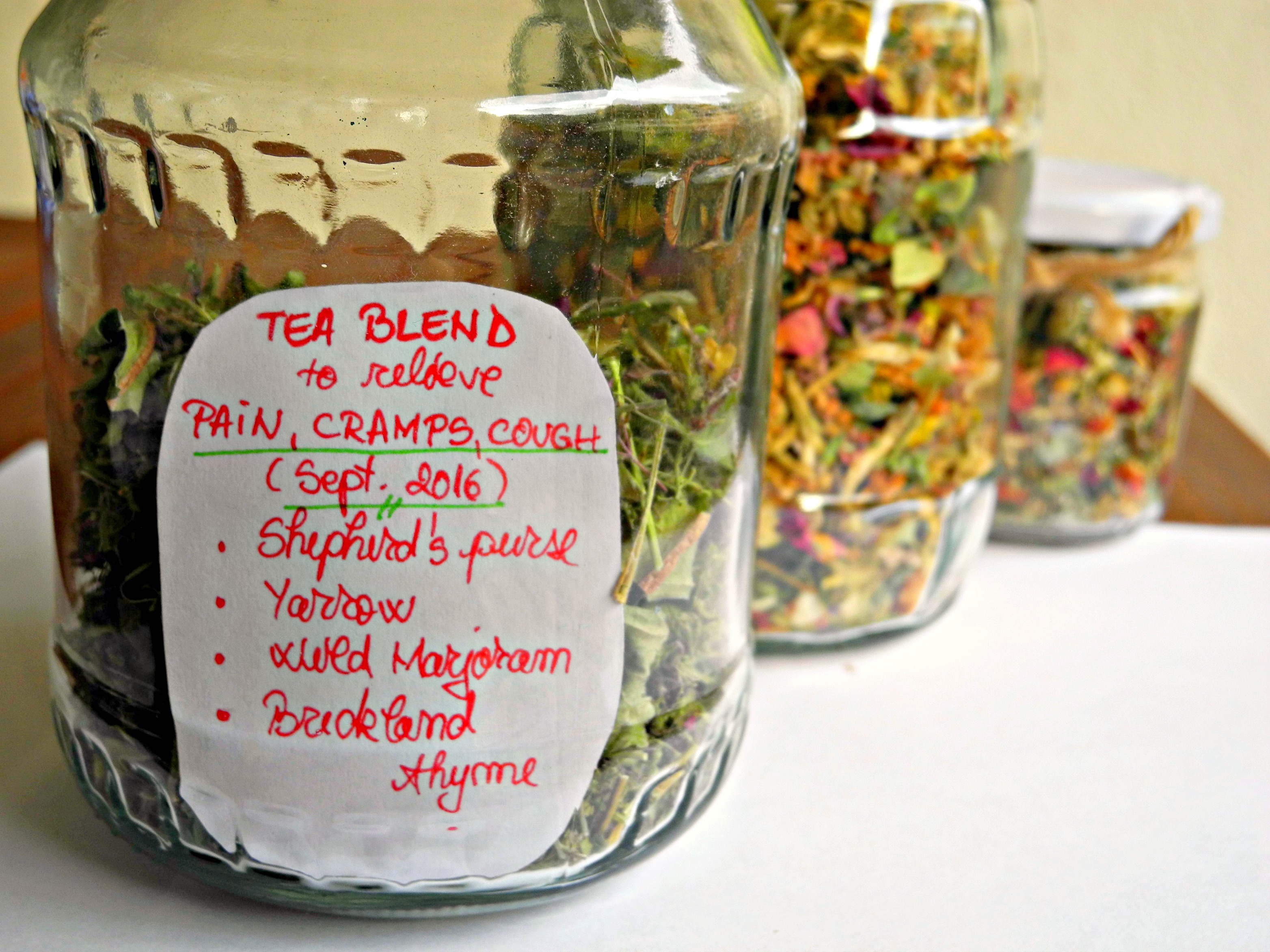 Shepherd's Purse - 50g Herbal Tea - Hilde Hemmes' Herbals